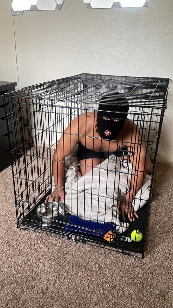 Dog Cage Meme